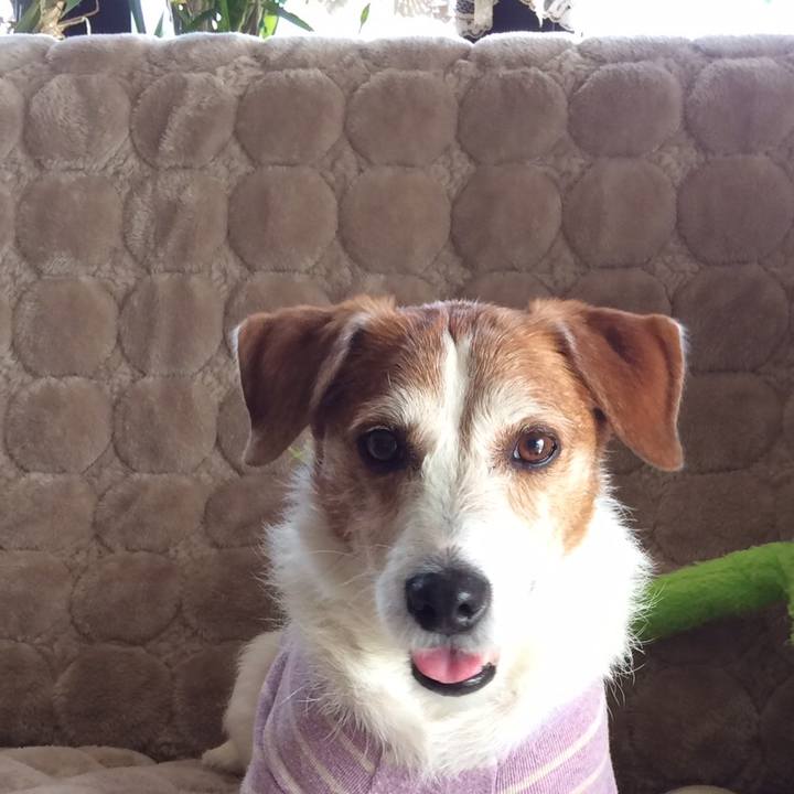 F7ada057 8db7 4388 9a19 fbce08ea527e