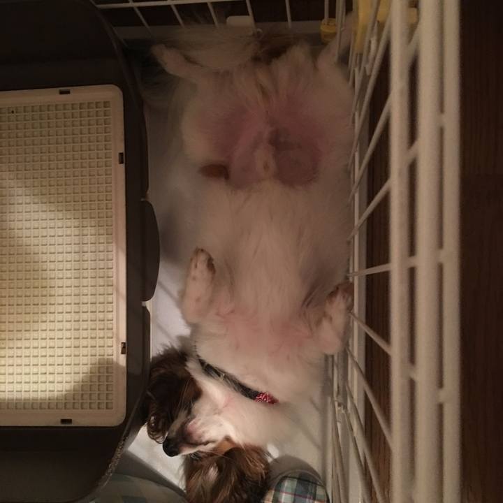 F7ae1b37 0cb0 4142 9cc3 a5754800b5bc