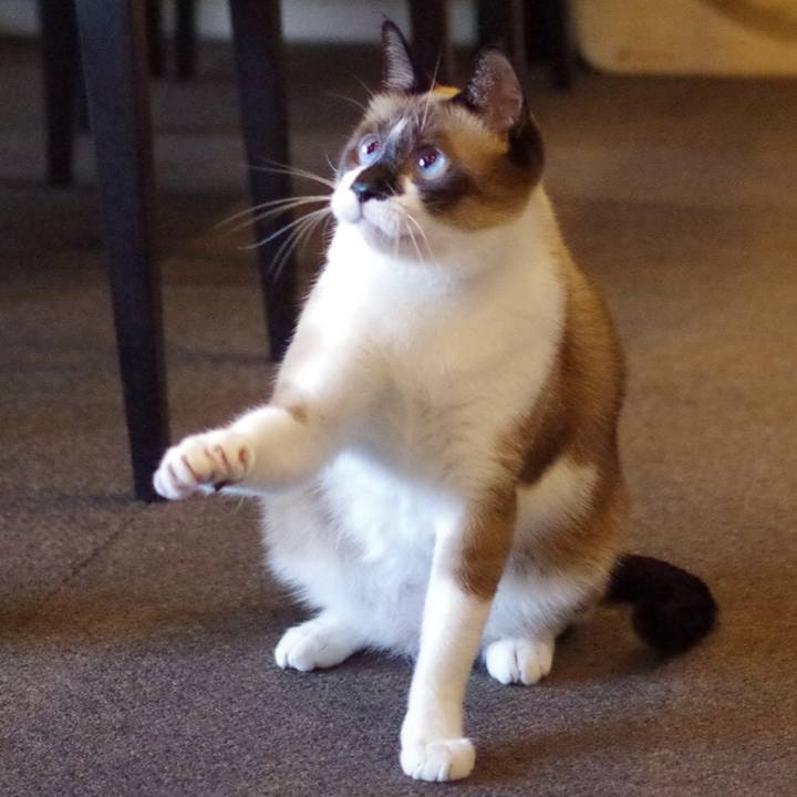 F7ae7566 14a0 4350 94f3 11196bbed747