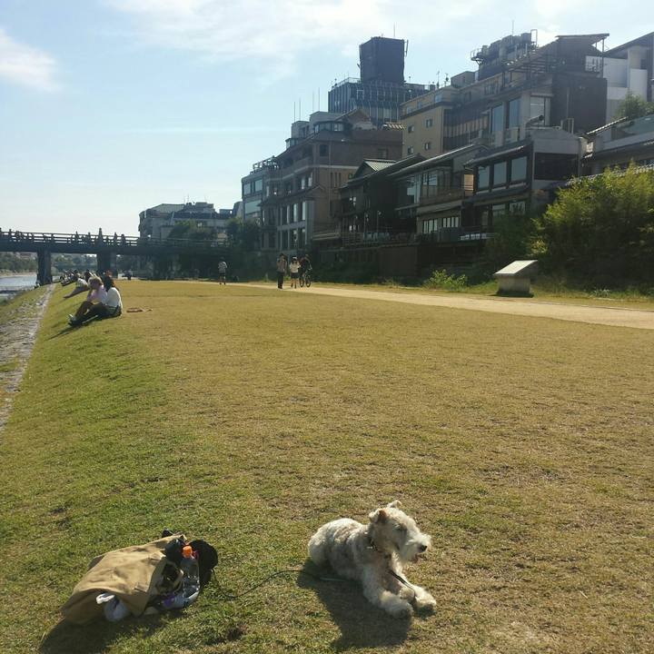 F7aea36c 73f8 4c1f 9fbc e689935c62ae