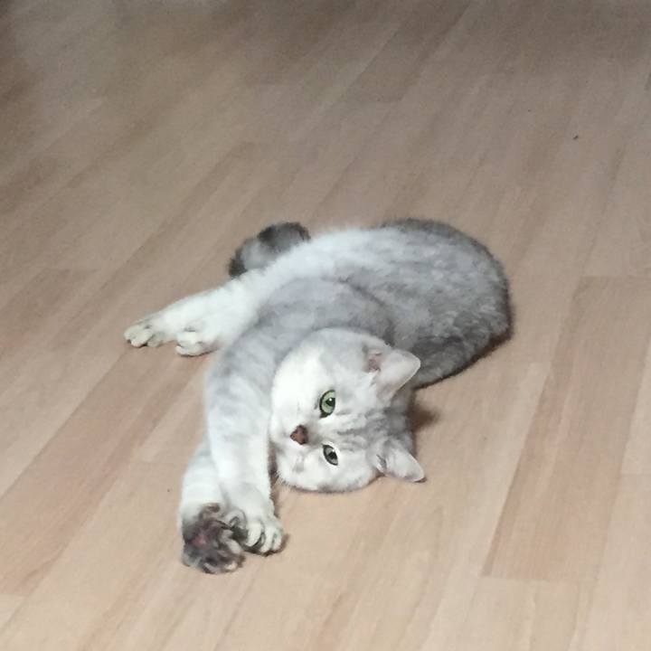 F7aec277 d304 4aef 851b ff165c786211