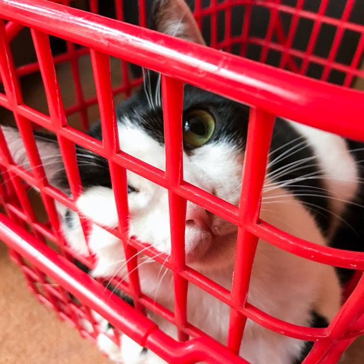 F7af02bf 3bb0 43f9 8230 beee12ebf979