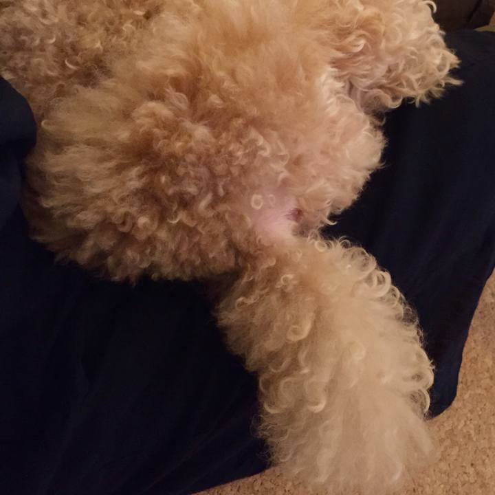 F7af198f 7ae2 45f9 889c 10c28d1d54b2