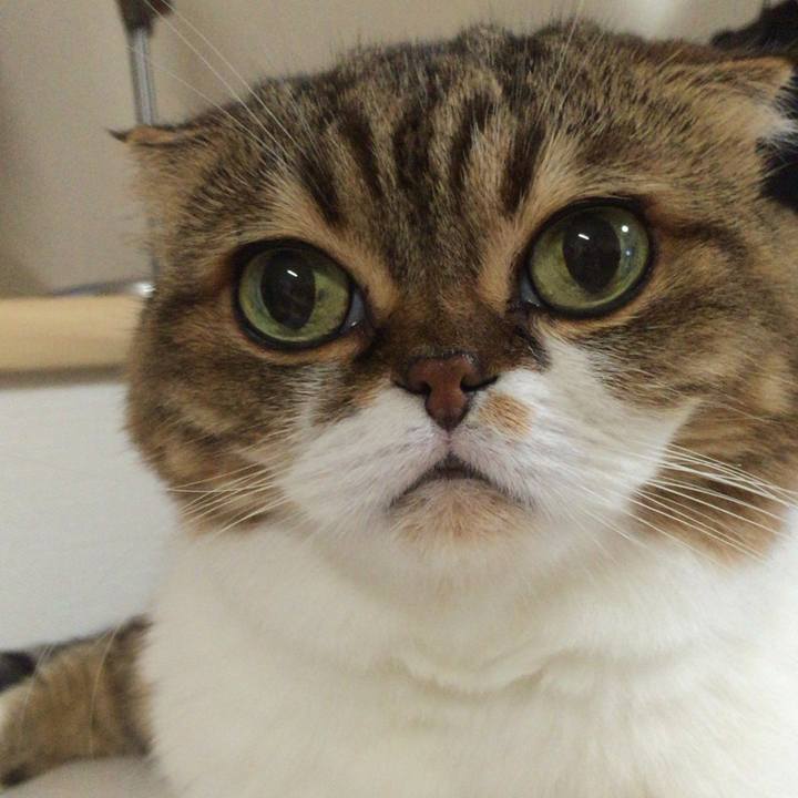 F7af2507 c2cf 454b b9dd bae870c72f7f