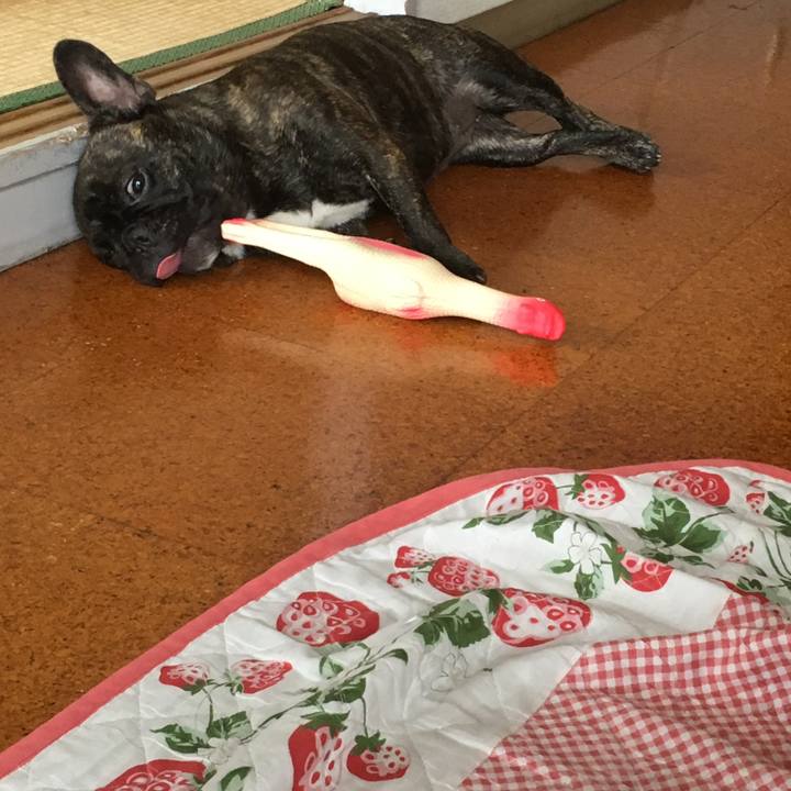 F7af58d1 4756 4e36 b072 8c01177875b7