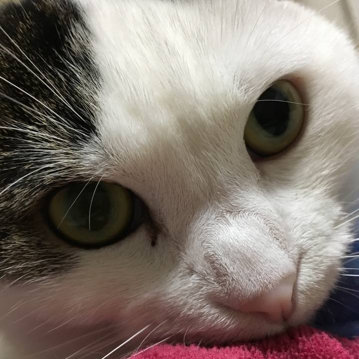 F7af9228 8134 4a02 8bb0 f1b2172fff44