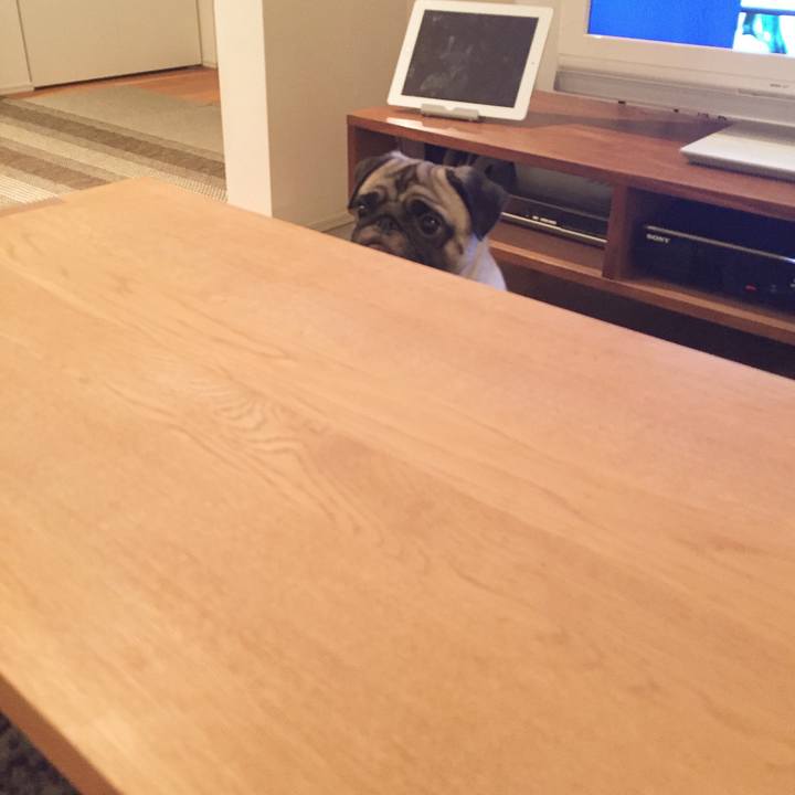 F7b04481 701f 4a18 b968 d78ab293667e