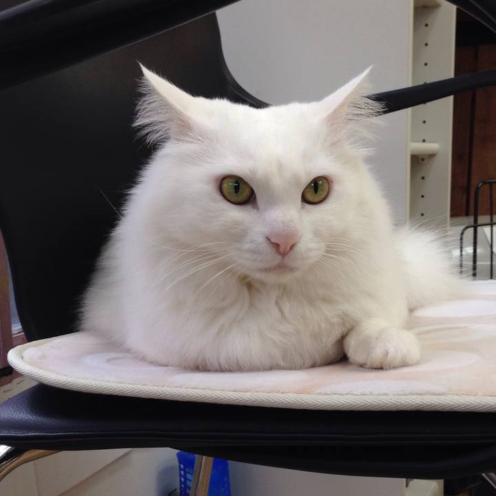 F7b058c8 7887 429d bde8 7ede80ba9e63