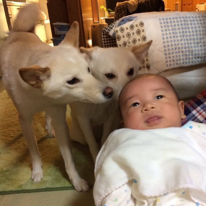 F7b07b66 d446 4b4c b111 6bf0e89a8a2d