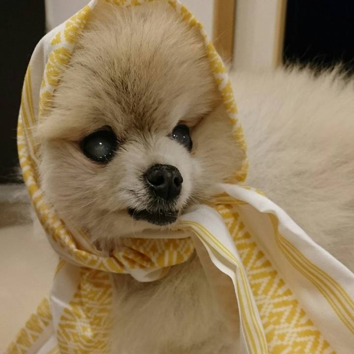 F7b0d34d 1c67 433b bdbb a7522d75a4e0