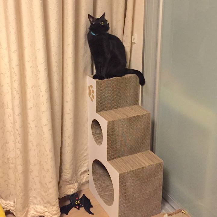 F7b0fda9 421f 47c3 aab2 f5bc7efe7a8b