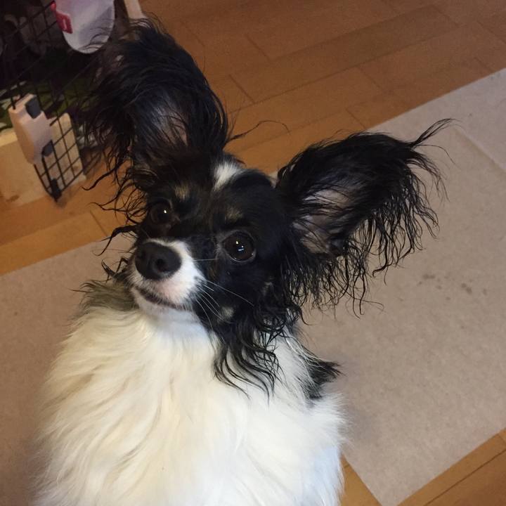 F7b112fa 09b6 4076 bd25 b6832a050250