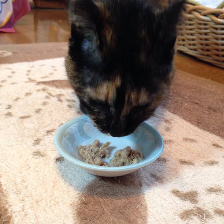 F7b26e8d dd24 4d0c ae64 3b6b5cacd454