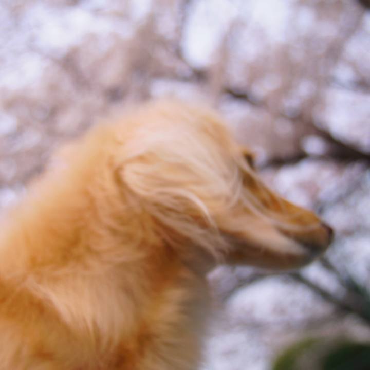 F7b281ac 1bf4 42e7 97d5 a3fd581d1d84