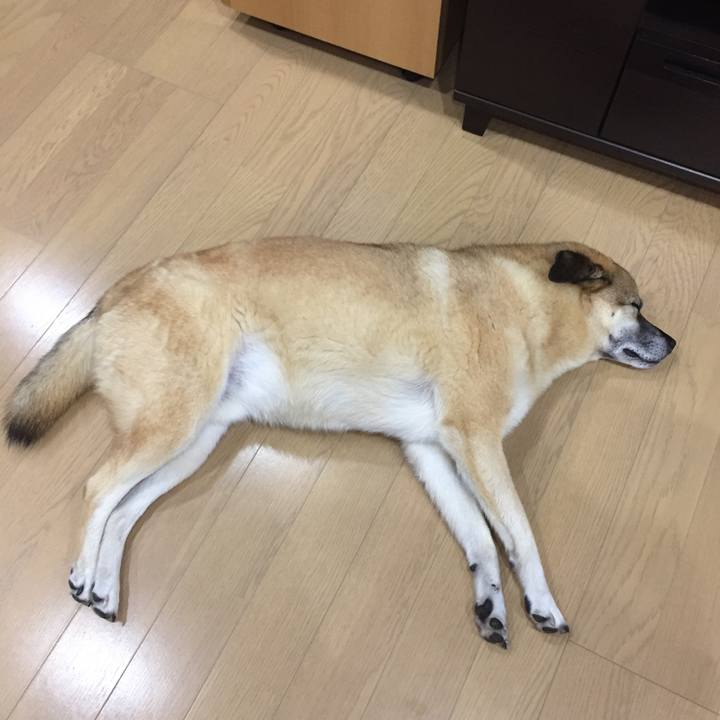 F7b2b89e b4fc 4ba2 a750 c28ec422a7bb