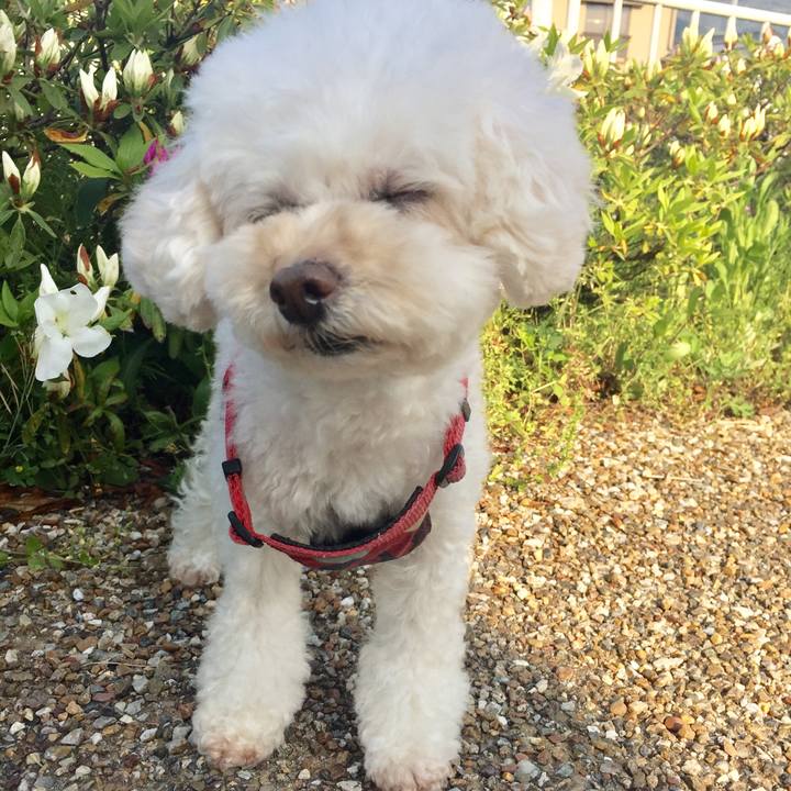 F7b361a1 a480 468a 9ff7 af80ab26e020