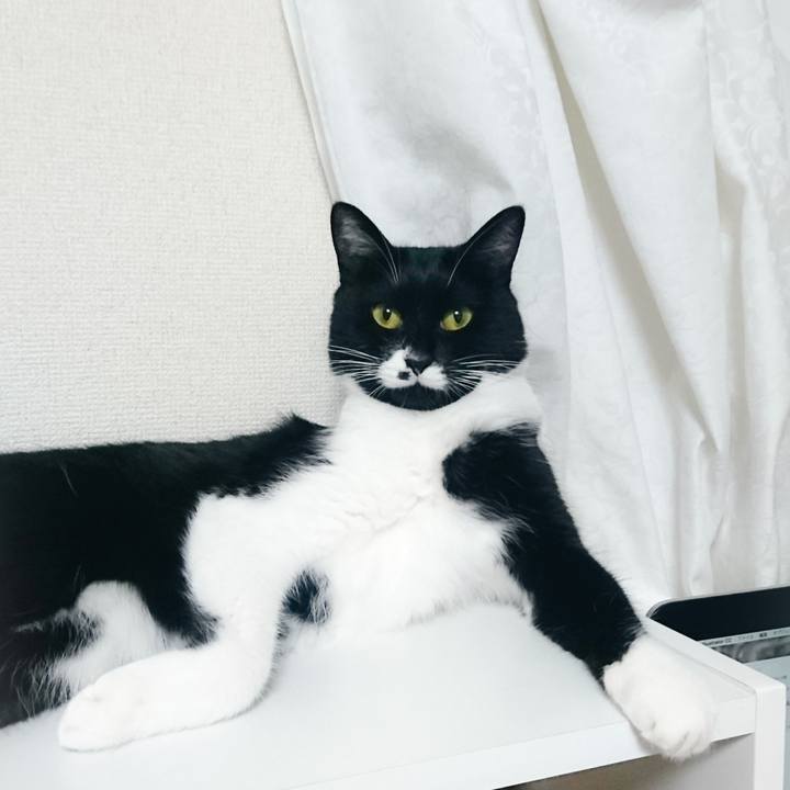 F7b3c677 6f20 46ce aa35 f9bf62fefb7d