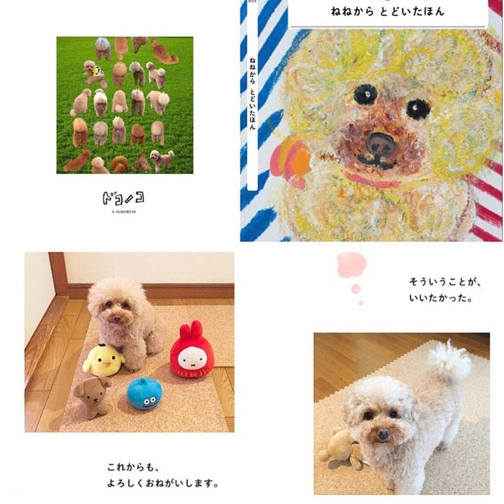 F7b3f7f3 6485 4ad9 a2f9 26792bf6fa26