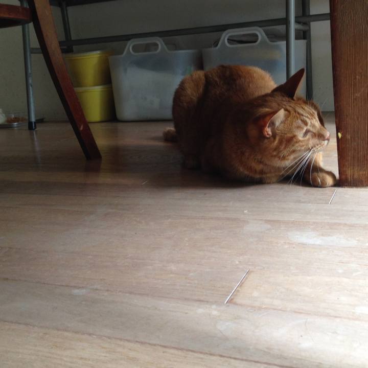 F7b47e1e e41a 47d2 a31f 510aad01b4c9