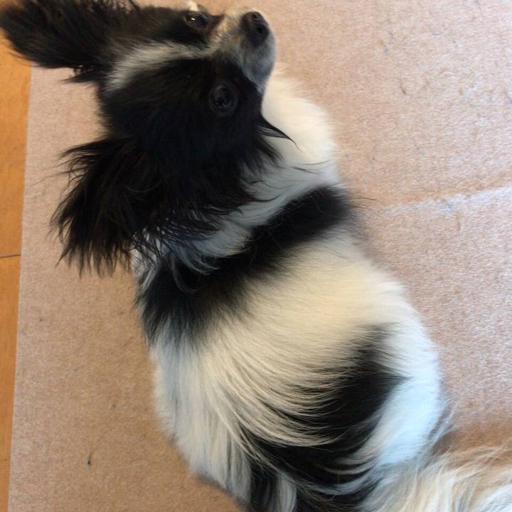 F7b56f14 da51 4d50 9b2c 2d627465bd0b