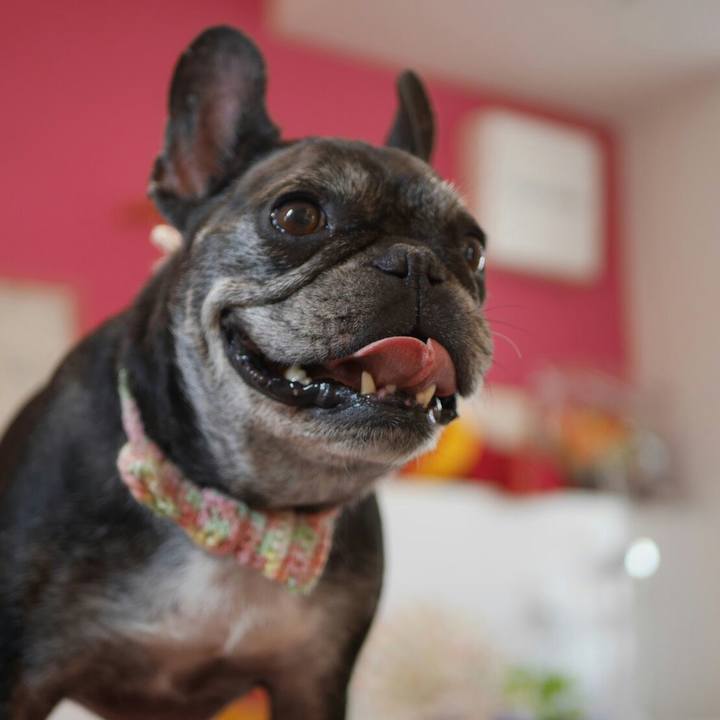 F7b59694 1296 42ff 9d45 73e01efe4ba4