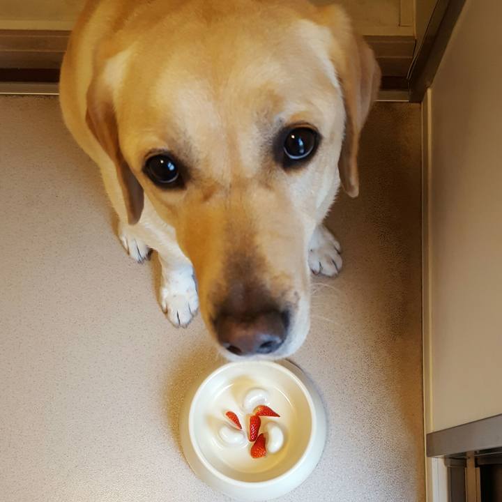 F7b5aa41 903f 40dd 90a0 111375540abd