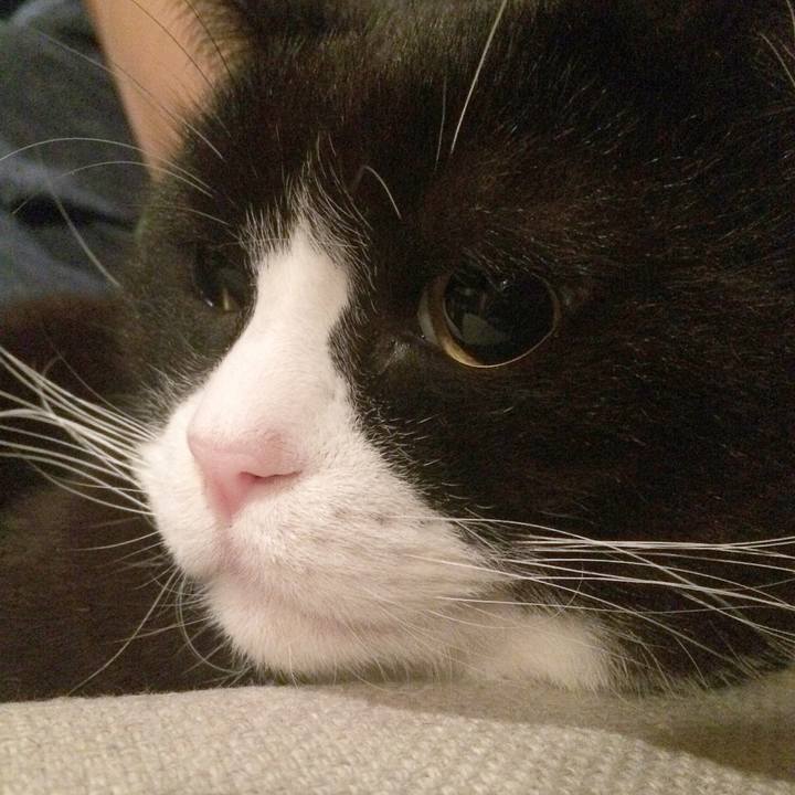 F7b5bca8 6b9e 4ae8 8e70 7b33fc00ad84