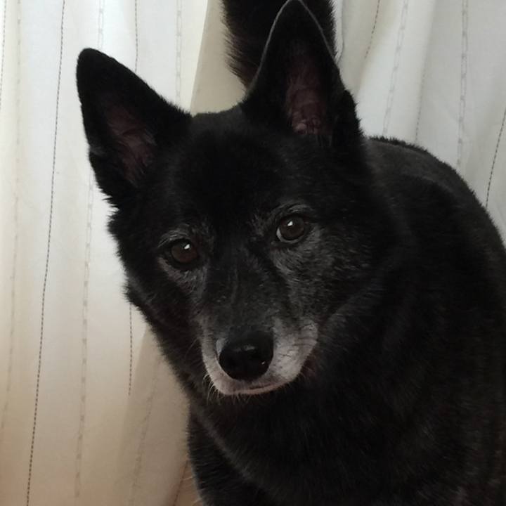 F7b5e09a 1225 4640 88f3 eeac780e0071