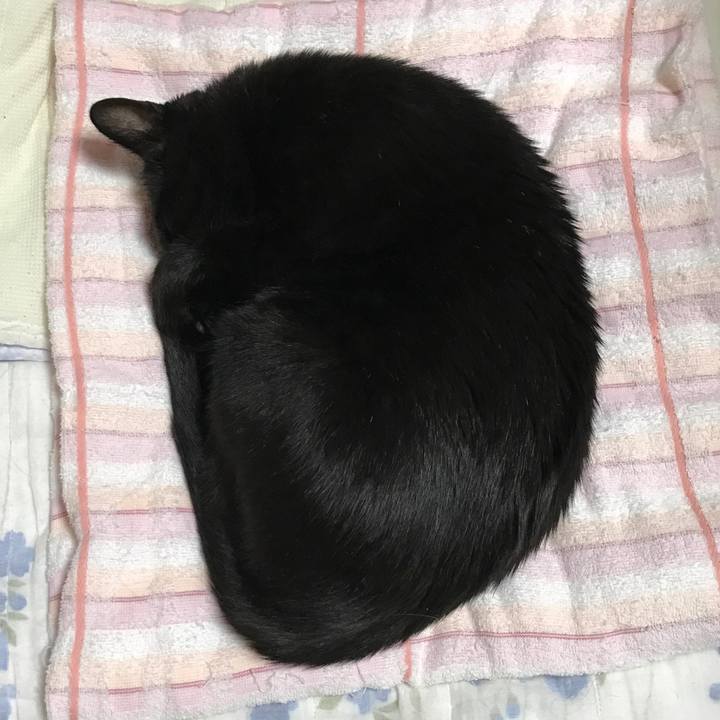 F7b6b3ce ec2a 4c86 8689 da06bb5ada4b