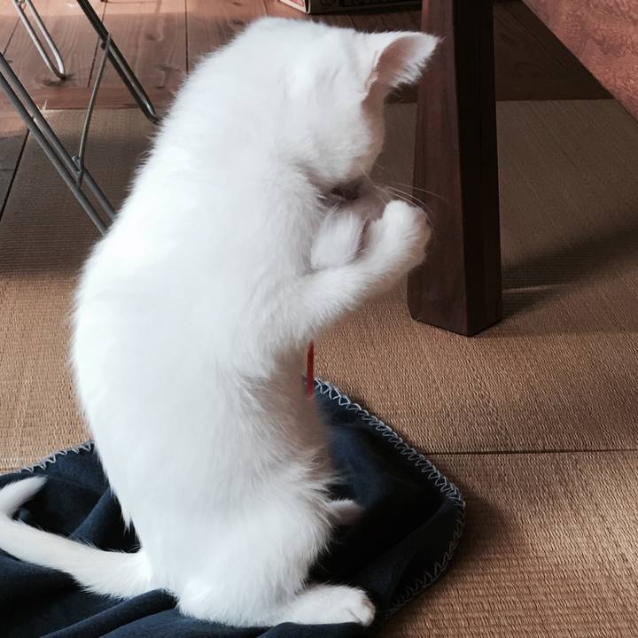 F7b6bda3 3eba 4a60 a46c 9a069974a643