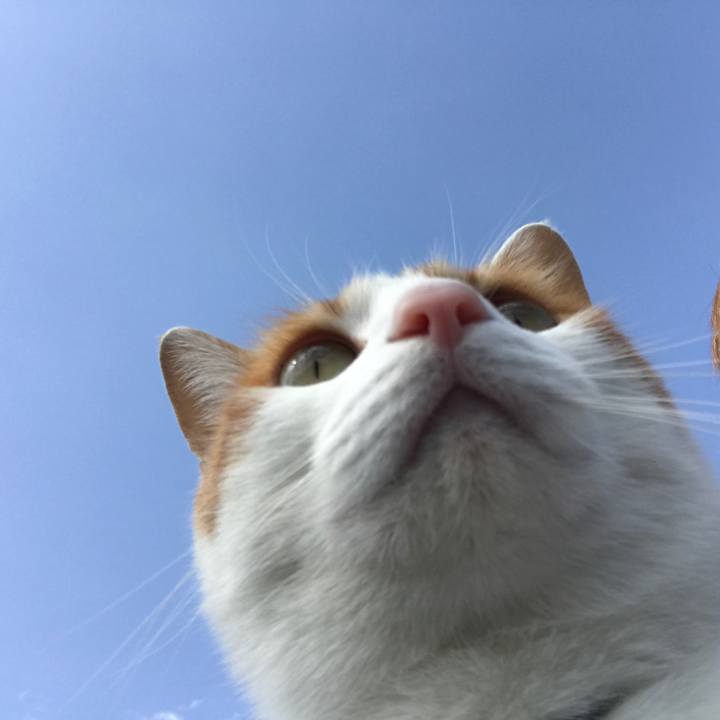 F7b6d3fb e41a 4844 8103 4ccba463906f