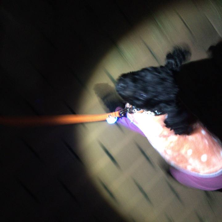 F7b6d96c 7002 4136 aa07 e247ef30a65f