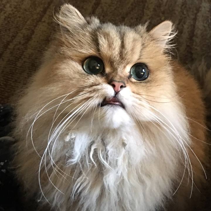 F7b89409 a333 42e6 8428 7e10400fef8e