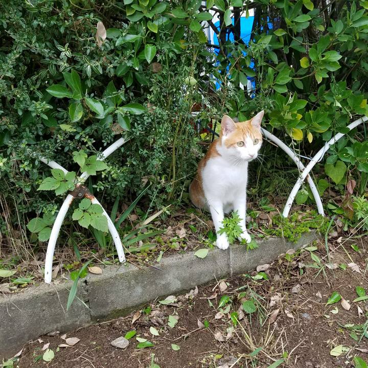 F7b8d3a0 cdd4 4b68 ae64 11f5a066bf2f