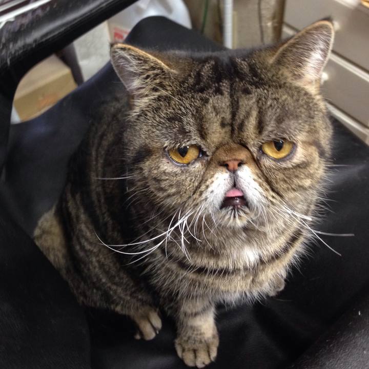 F7b94d03 30f2 4123 8f7a 02959627b838