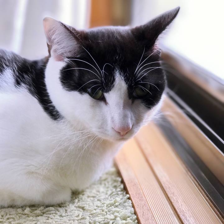 F7ba6e57 89d6 4dec 8003 aa6b782ea560