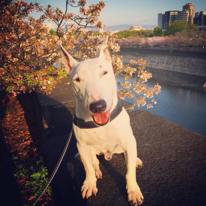 F7ba9df9 7907 45bd b299 cdabf4d77c4a