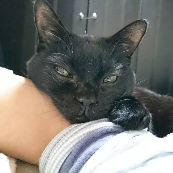 F7bb8af1 82fd 40f5 a93b 9256de4f4053