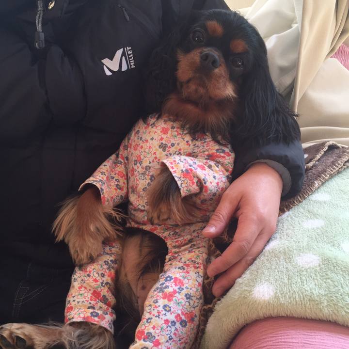 F7bbad24 f828 43f8 8d10 fd51ceacbd74