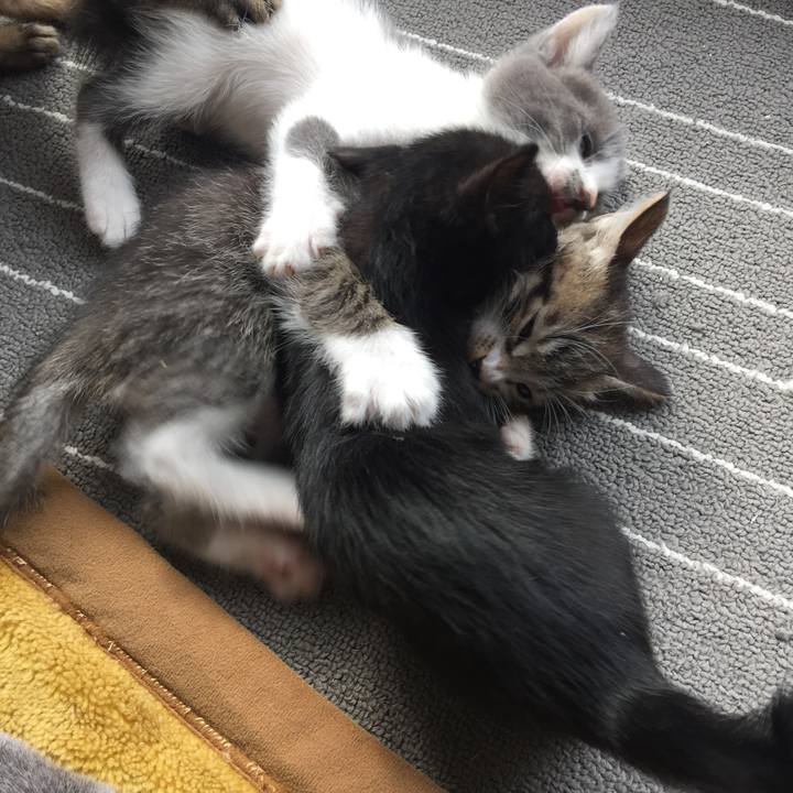 F7bbbb01 c754 497b a9a5 d3a04edeba05