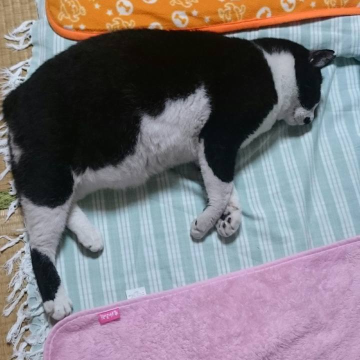 F7bc511e 4f1f 43eb 849a f75dc198525e