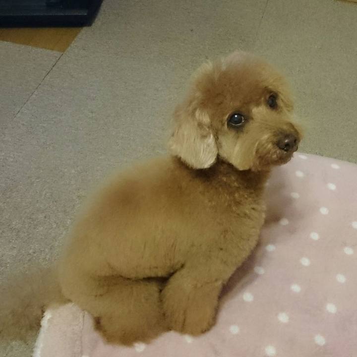 F7bc5e33 dd9a 40a9 81aa 3391f9d2e110