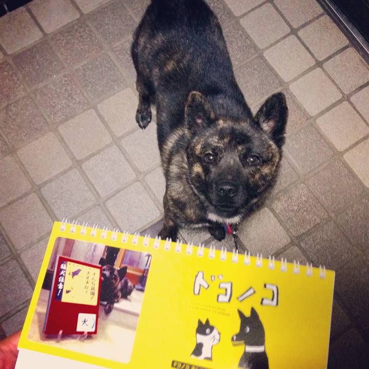 F7bca5b6 2dc1 40df af1f 5f11563c5fe0