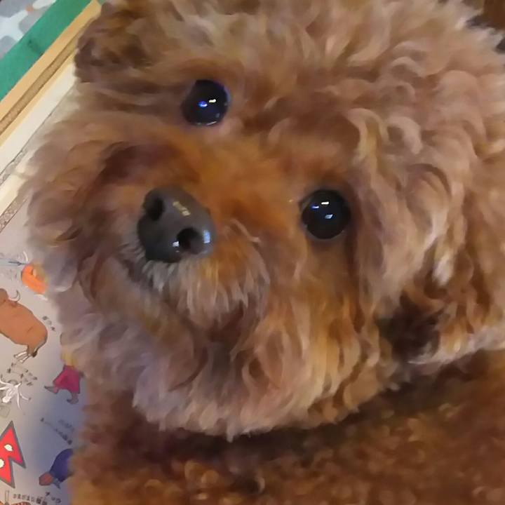 F7bcc2ae 52da 404b 954a 103ecb5b4484