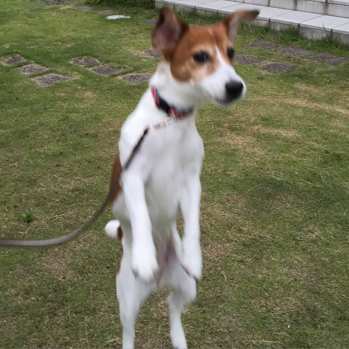 F7bd1354 1db1 4d9f aca2 bca8dabe22ca