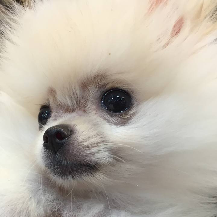 F7bd199b 394c 4a84 a9b2 64add17c2568