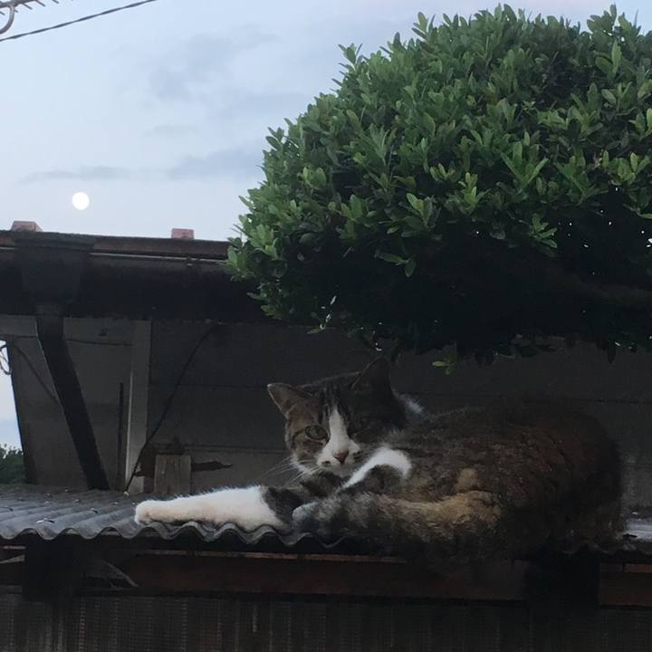 F7bd3404 e156 40f9 82ed 854db3967c69