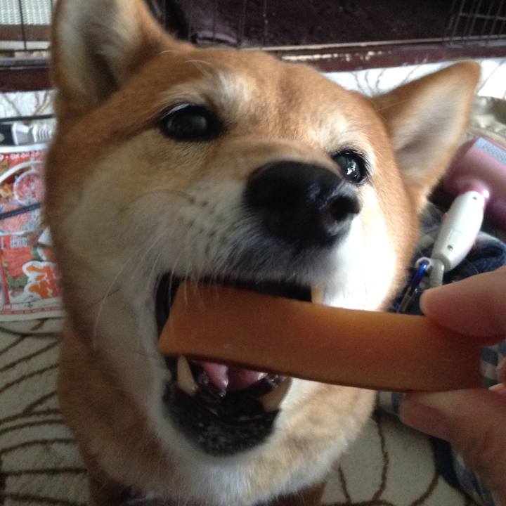 F7bd92d3 429e 478a 9c36 c29e8ae0fd71