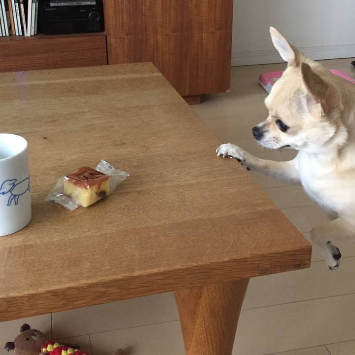 F7bdc2ac a78d 4d20 abd0 efff66567be9