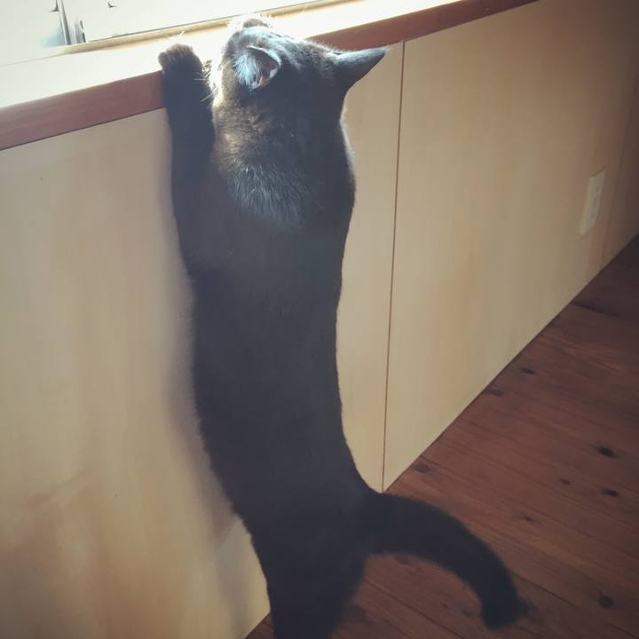 F7bdea1b a7a9 4d4b a3df d0e73357a7a3